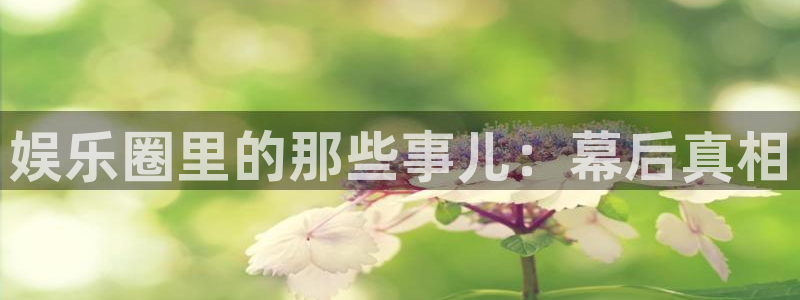 星亿娱乐登录