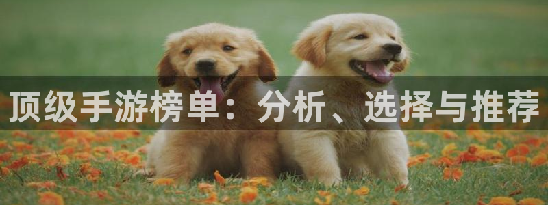星亿娱乐登录