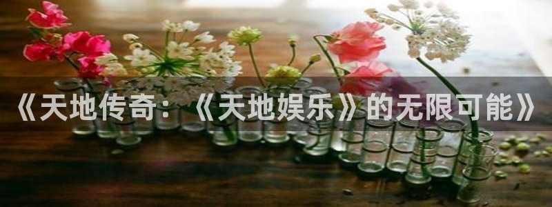 星亿娱乐平台
