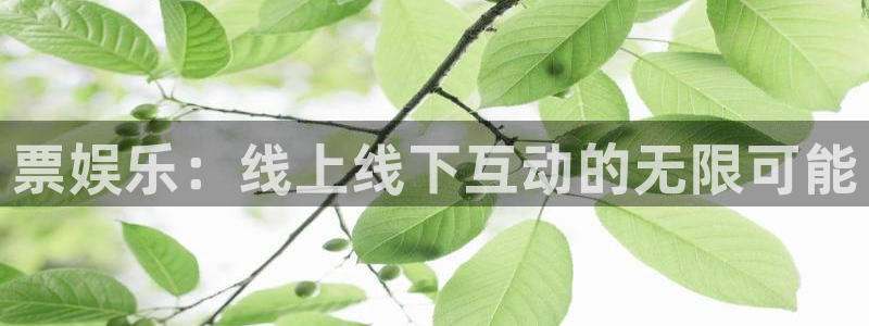 星亿娱乐官网进入
