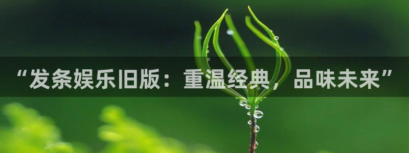 星亿娱乐主管