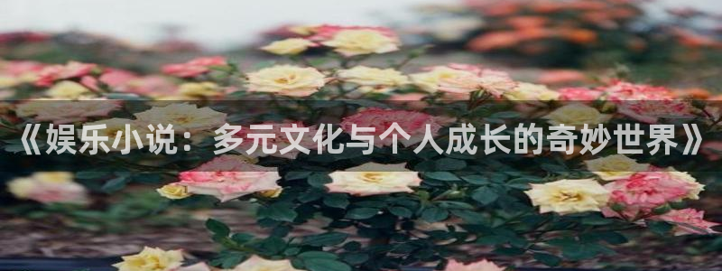 星亿娱乐平台